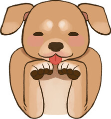 Puppy