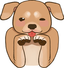 Puppy