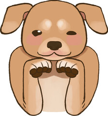 Puppy