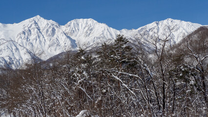 北アルプスと山麓のスキー場　長野県白馬村