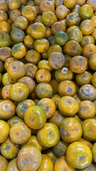 Pile Of Yellow Oranges With Blue Mold Spots In A Fresh Market Display, Bright Colors