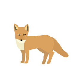 かわいいキツネのイラスト