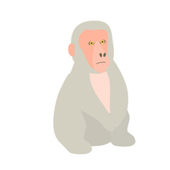 座っているサルのイラスト