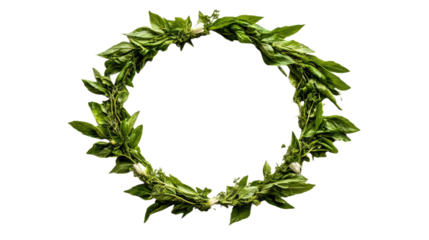 Fresh Green Basil Wreath with White Flowers on Isolated Background, a Vibrant Botanical Circle for Culinary and Decorative Themes. PNG Clipart Transparent