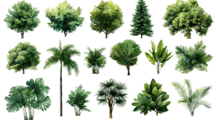 Watercolor Green Trees and Plants Collection Isolated on Transparent Background. Background PNG Transparent