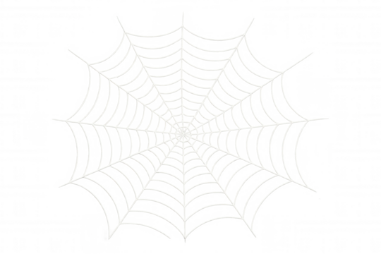 White spider web vector graphic on transparent background creating halloween spooky decoration element