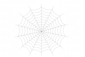 Spiderweb vector illustration providing a spooky element for halloween and scary design on transparent background