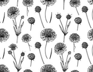 Botanical floral line art seamless pattern