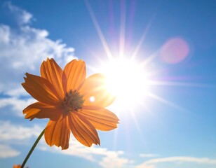 Bright flower in sunlit sky