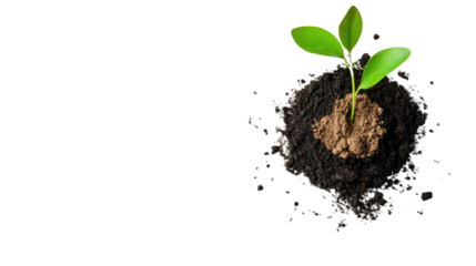 Vibrant Green Young Plant Sprout Growing in Soil, Symbolizing New Life and Sustainable Future. Background PNG Transparent