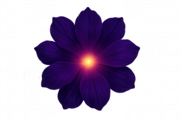 Purple flower with petals and a bright glowing center, creating an abstract and luminous floral design. Transparent background