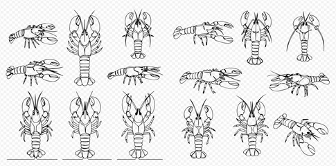 A comprehensive collection of black and white line art illustrations showcasing various lobsters from multiple perspectives.