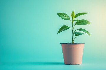 Fototapeta premium Small potted plant with green leaves isolated on a bright cyan background. Symbolizes growth, new beginnings, hope, and environmental awareness.