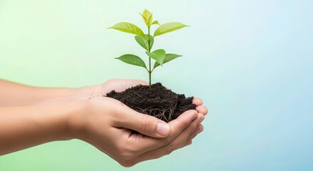 Nurturing new life hands holding small plant with visible roots and rich soil against soothing backdrop symbolizing growth sustainability and environmental care perfect for eco conscious branding