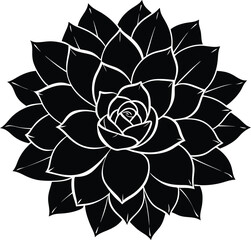 Elegant Black and White Succulent Rosette Petal Vector Graphic