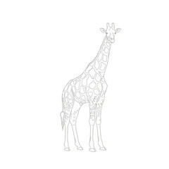 Fototapeta premium Giraffe line art illustration