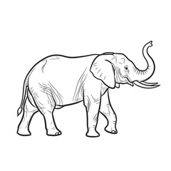 Obraz premium Black and white elephant illustration