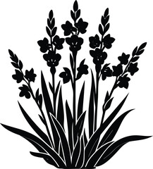 Gladiolus Flower Silhouette, Elegant Floral Vector Art with Blossoming Stalks and Leaves