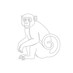 Fototapeta premium Monkey line art illustration