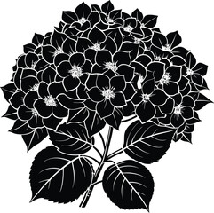 Detailed Black and White Hydrangea Flower Cluster Vector Illustration