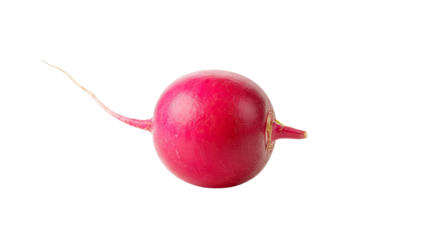 A single vibrant red radish with a long thin tail isolated on a white background.