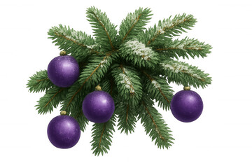 Christmas fir branch with snow and sparkling purple baubles, winter holiday season decoration