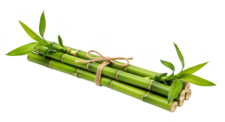 Bamboo stalks isolated on transparent background, a symbol of luck and prosperity