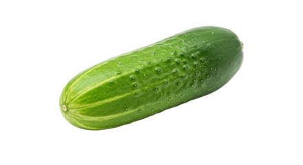 Single green cucumber isolated on white background.