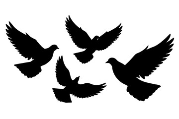 set of Pigeon flying silhouette vector isolated on white background