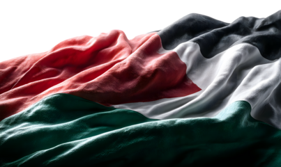 Isarael palestine flag waving white background war military conflict religion culture muslim country national islam government history middle east negotiation peace gaza crisis business army