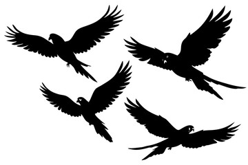 set of Parrot flying silhouette vector  