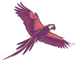 Parrot flying silhouette vector  isolated on white background