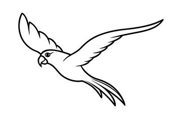 line art Parrot flying silhouette vector  isolated on white background