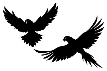 Parrot flying silhouette vector  isolated on white background