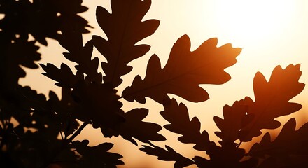 Silhouettes of oak leaves against a warm sunset backdrop create a peaceful and tranquil image.