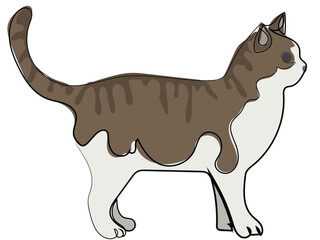 Cat in continuous line drawing style