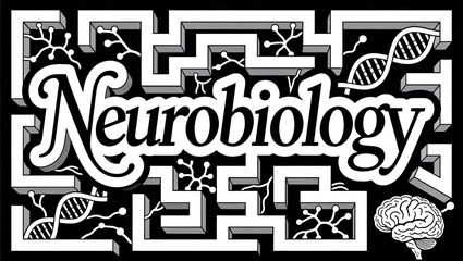 Neurobiology stylized, lettering, geometric design.