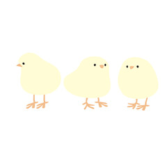 かわいいひよこ3羽のベクターイラスト