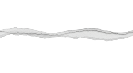 Torn Paper Strip with Jagged Edges and Subtle Gray Tones on White.