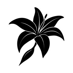 Elegant black silhouette of a lily flower with delicate petals