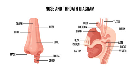 Alt text: "Illustrated diagram labeled 'Nose and Throat Diagram.' Left side shows a detailed nose labeled with nonsensical terms. Right side depicts a cross-section of the head, with similar incorrect