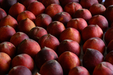 Beautiful tasty fresh peaches laying out on a table with bright red, orange and peach colors.