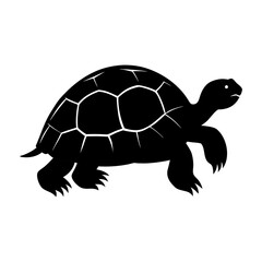 Black silhouette of a tortoise with detailed shell pattern