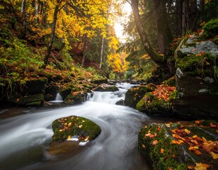 Autumn stream flowing through a forest