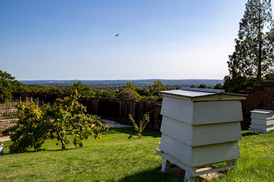 Chartwel House Bee Hives