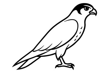 Fototapeta premium line art Falcon hunting silhouette vector isolated on white background