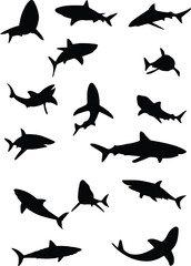 Obraz premium shark silhouette, sharks, underwater sea life, ocean predator, black and white illustration, vector graphic, minimalist design 
