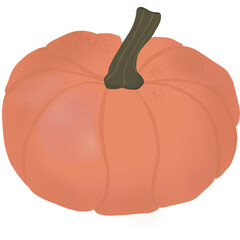 Hand drawn illustration of an orange pumpkin with a dark green stem. A simple autumn harvest design perfect for fall, Halloween, or Thanksgiving themed projects.
