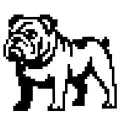 Fototapeta premium Pixel art buldog, vector SVG, transparent PNG