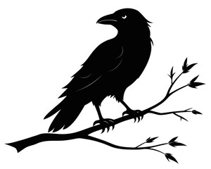 Crow on branch silhouette illustration isolated on white background